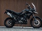 Triumph Tiger 900 Rally / Rally Pro